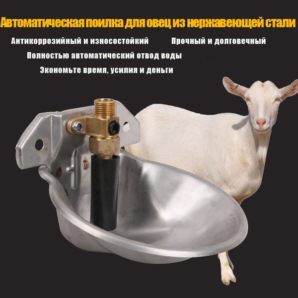 Поилка для овец, лошадей, ослов полностью автоматическая из нержавеющей ...
