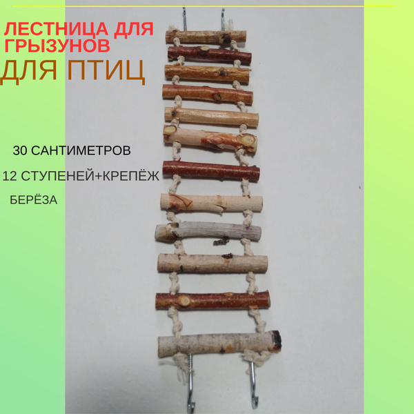 Лестница для грызунов - купить с доставкой по выгодным ценам в интернет ...