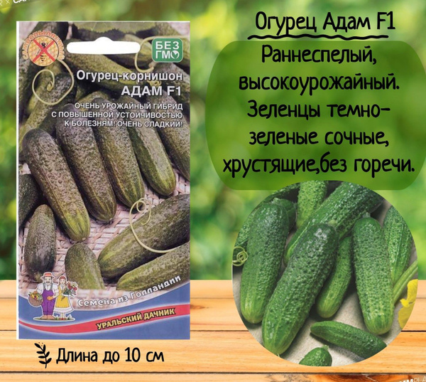 Огурцы Уральский дачник Адам - купить по выгодным ценам в интернет ...