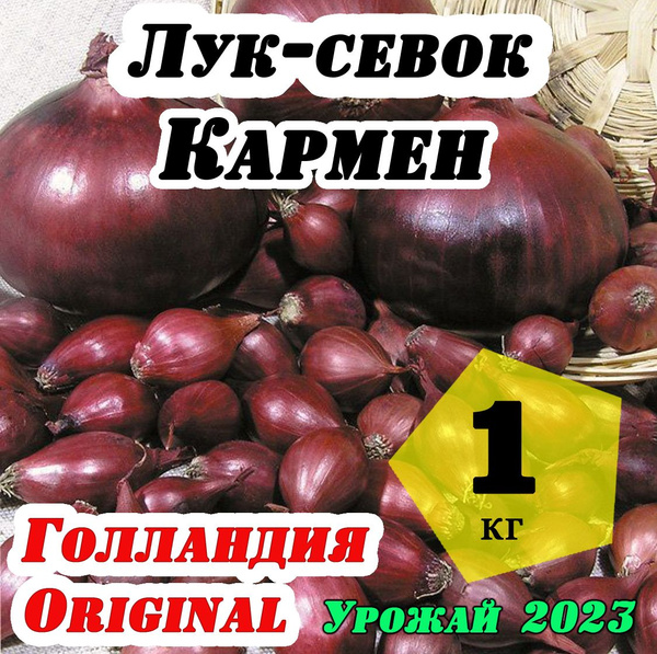 Луковицы Лук, Лук севок купить по выгодной цене в интернет-магазине ...