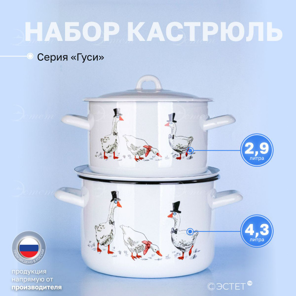 Набор кастрюль с крышкой "ЭСТЕТ" эмалированные 2.9 и 4.3 литра ...