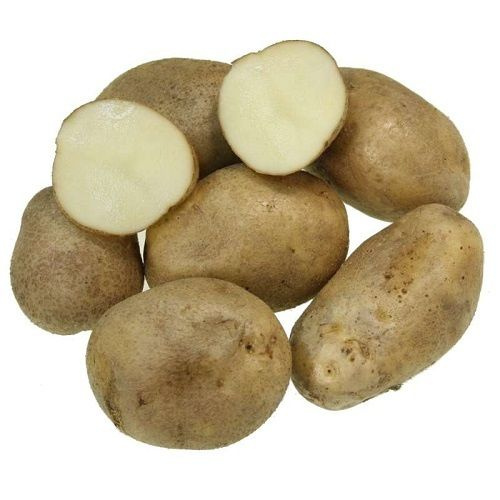Картофель Удача, картофель семенной, клубни,семена САД и ДАЧА 73831285 купить в