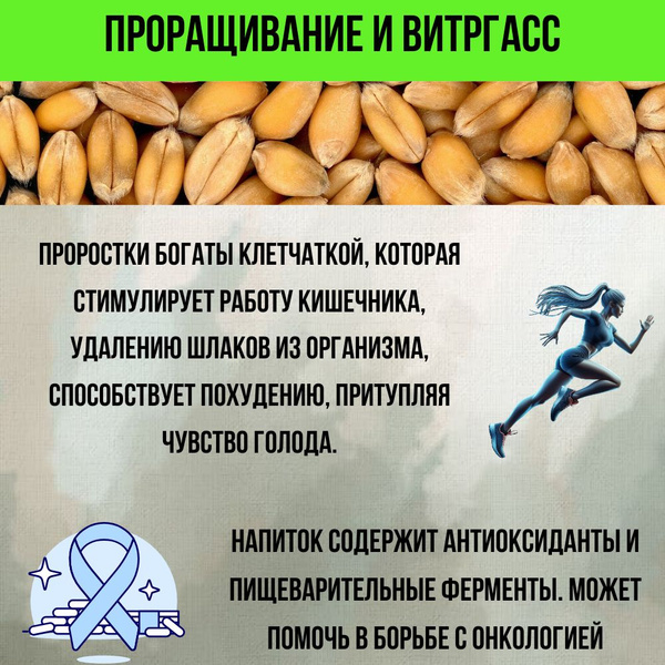 Пшеница для проращивания - купить с доставкой по выгодным ценам в ...