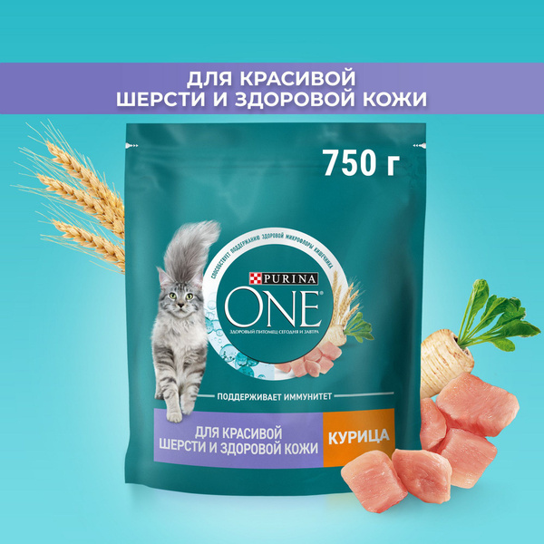 Сухой корм для кошек Purina ONE для здоровья кожи и шерсти, с курицей и ...