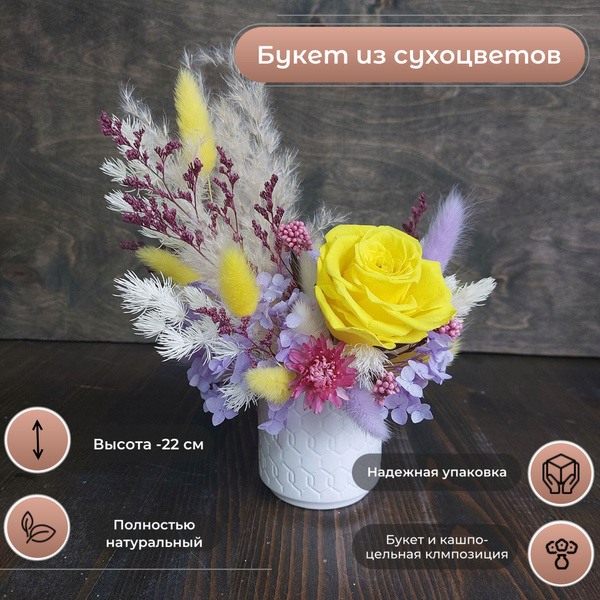 Букет из сухоцветов Озотамнус, Лагурус, 22 см, 140 гр, 1 шт купить по ...