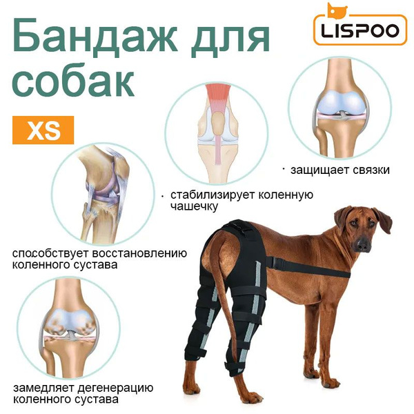 Бандаж на коленный сустав, фиксатор колена для собак. наколенники на ...