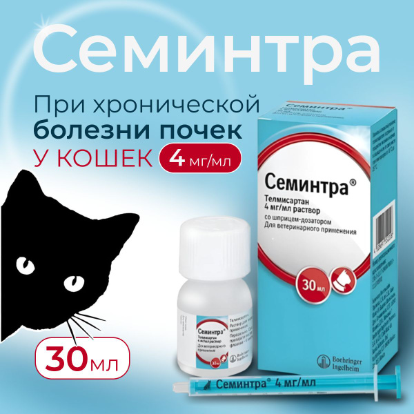 Семинтра купить для кошек
