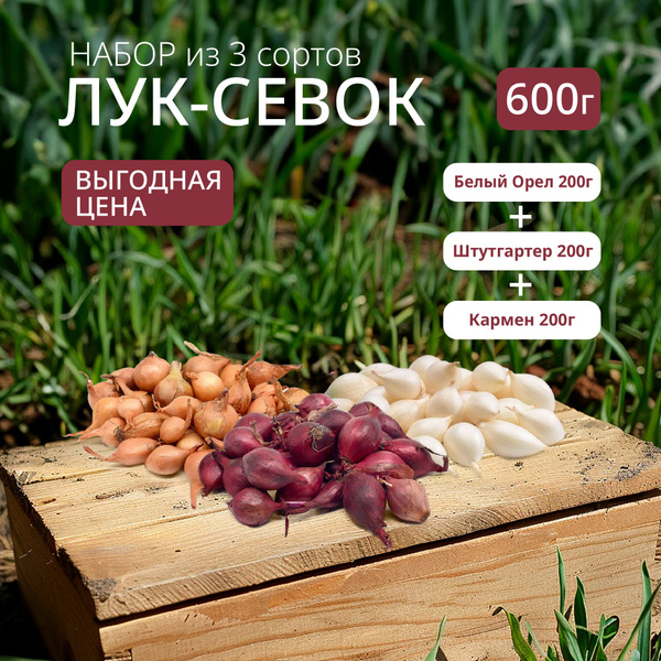 Луковицы Лук севок Лук севок купить по выгодной цене в интернет ...