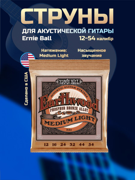 Ernie Ball Earthwood Medium Light Phosphor Bronze Acoustic Guitar Strings 12-54 - 2 Pack