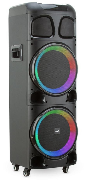 Акустическая система Eltronic 1384191 - купить по низким ценам в ...