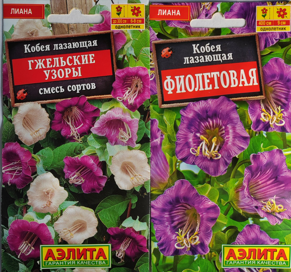 Кобея Аэлита кобея лазающая - купить по выгодным ценам в интернет ...
