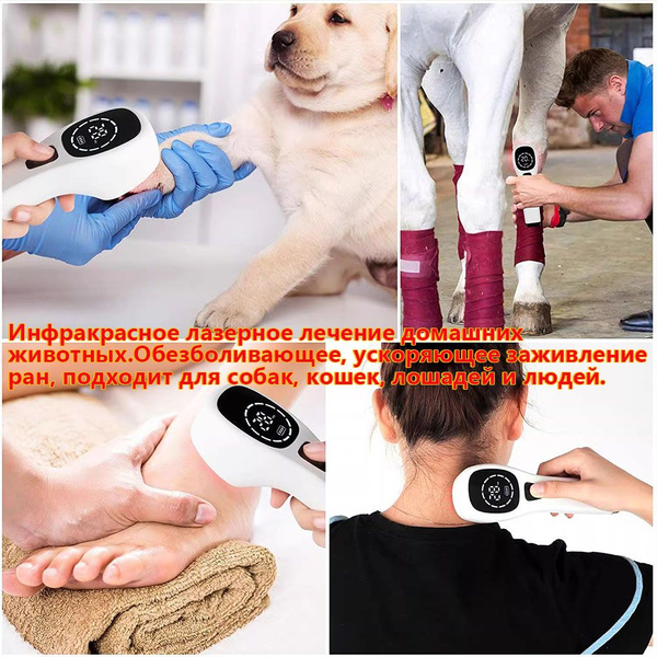 Инфракрасное лазерное лечение домашних животных.Обезболивающее ...