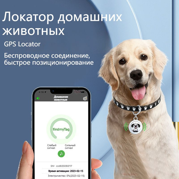 GPS ошейник для собак и кошек,кошка - купить с доставкой по выгодным ...