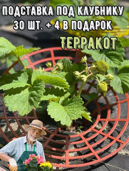 Подставка под клубнику терракотовая, 30 штук+4 подставки в ПОДАРОК ...