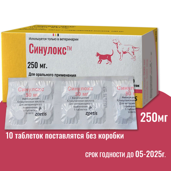 Синулокс 250 мг., препарат противовоспалительный, 10 таблеток, купить ...