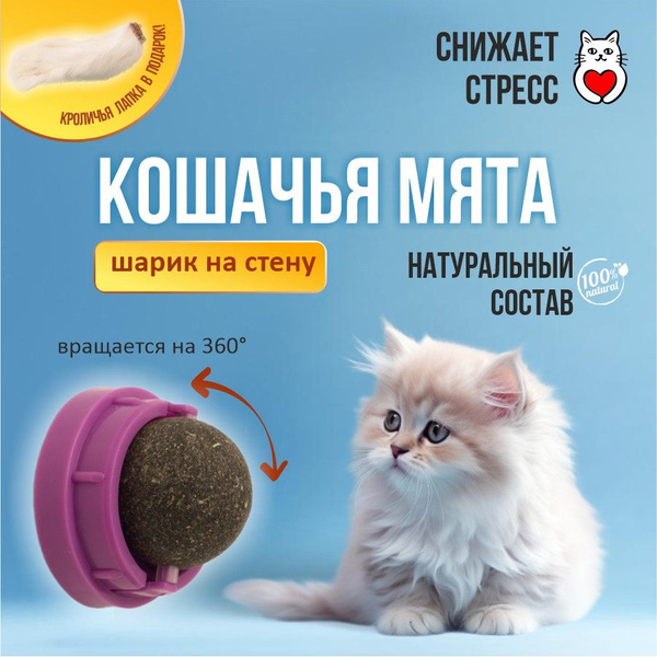 Игрушка для кошек, кошачья мята, шарик с кошачьей мятой на стену ...