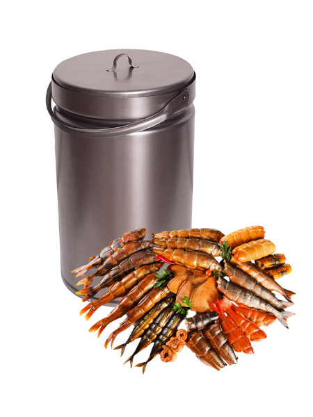 Коптильня бытовая Казань К-250.00.000 купить c доставкой на OZON по ...