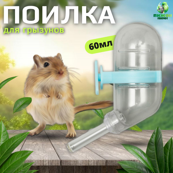 Поилка для грызунов 60 мл, 12х4 см, прозрачная с голубым креплением ...