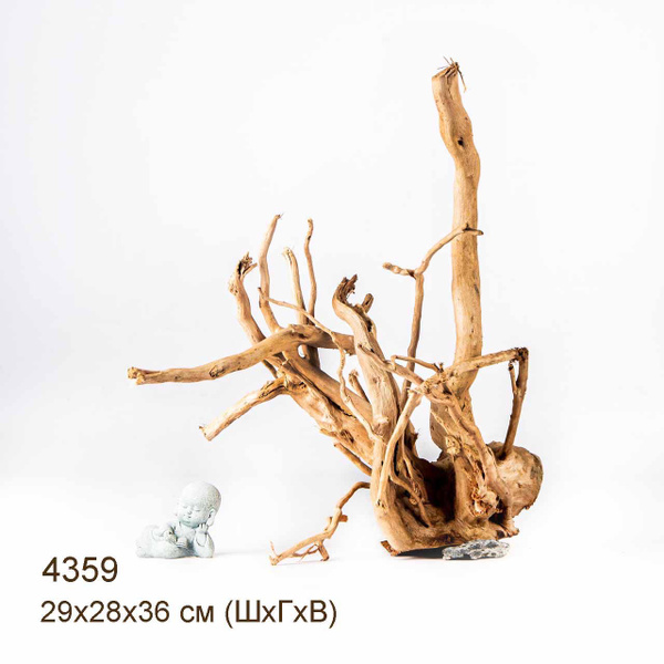 Коряга для аквариума натуральная. Корень Азалии - L. Декорация MASHA ...