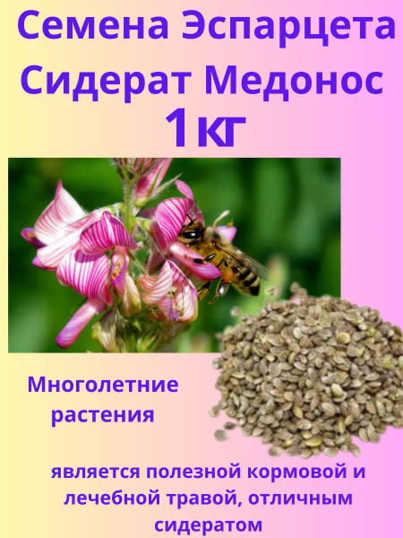 Эспарцета Сидерат 1кг - купить по выгодным ценам в интернет-магазине ...
