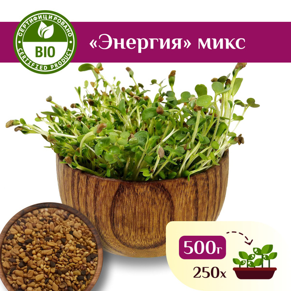 Микс семян Энергия для проростков и микрозелени, Ильинские проростки ...