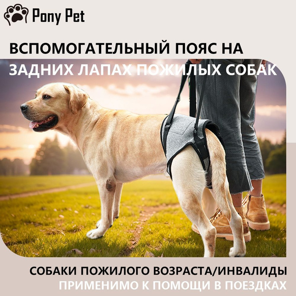 Полная поддержка для собак. Ходунки для собак, пожилых и травмированных ...