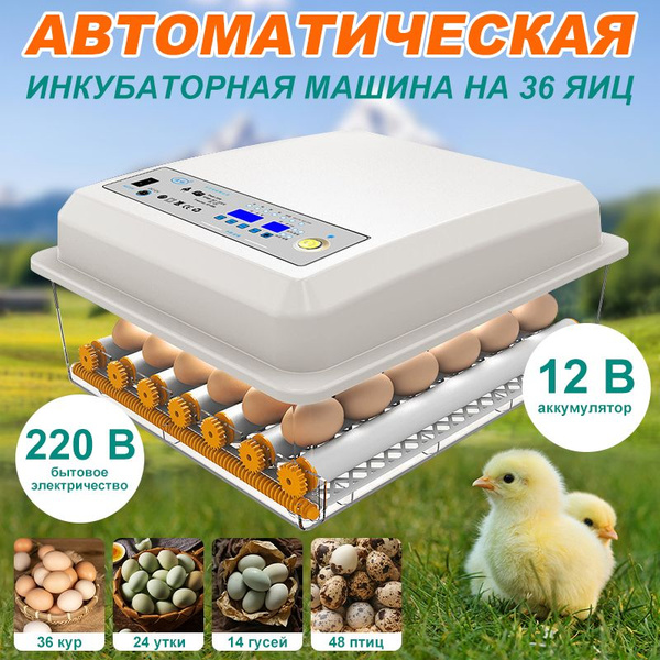 Инкубатор для яиц автоматический 36 с терморегулятором, гигрометром ...