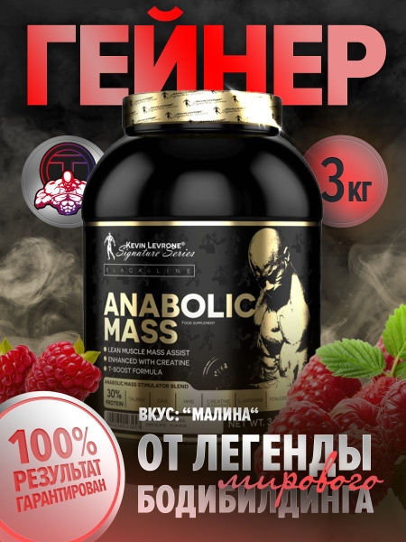 Гейнер Левро Анаболик Масс ("Levro Anabolic Mass") 3 кг малина - купить ...