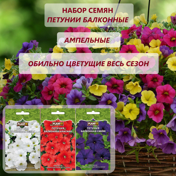 Петунии Plantit Петуния балконная белая, синяя, красная - купить по ...
