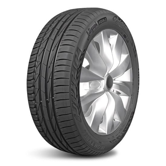 Шины для легковых автомобилей Ikon Tyres 215/65 17 Лето Нешипованные ...
