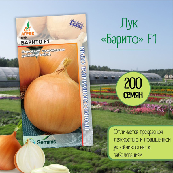 Лук Агрос Лук - купить по выгодным ценам в интернет-магазине OZON ...