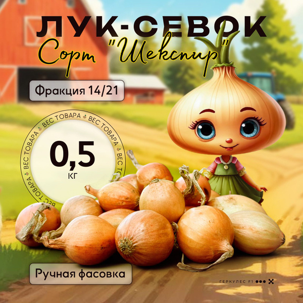 Лук севок прелесть - купить по выгодным ценам в интернет-магазине OZON ...