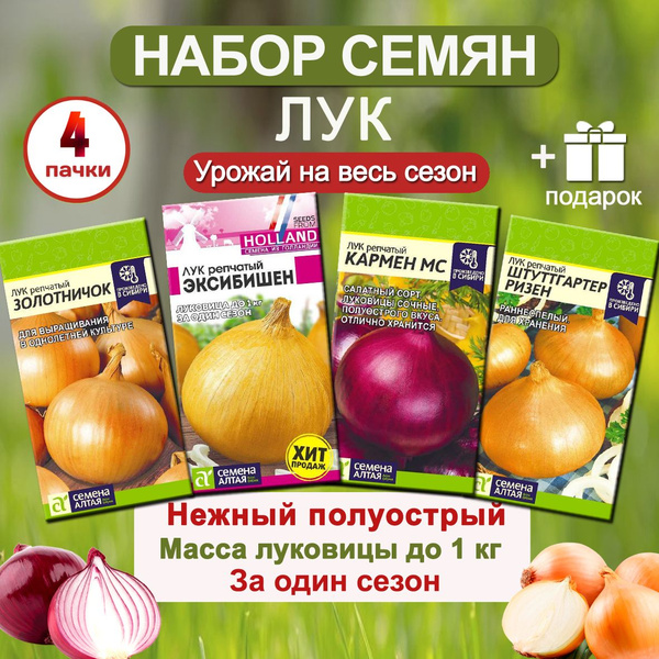 Лук, Лук севок Семена Алтая лук - купить по выгодным ценам в интернет ...