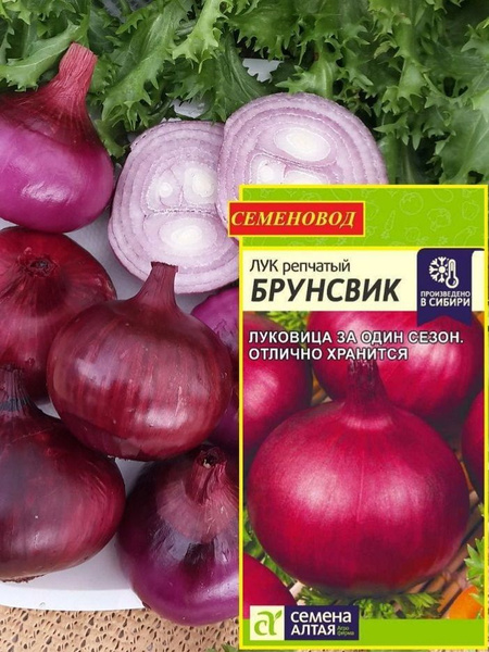 Лук Семена Алтая Алтай - купить по выгодным ценам в интернет-магазине ...