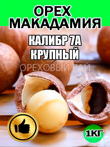 МАКАДАМИЯ, МАКАДАМИЯ ОРЕХ, 1кг калибр 7А в скорлупе с ключом купить на ...