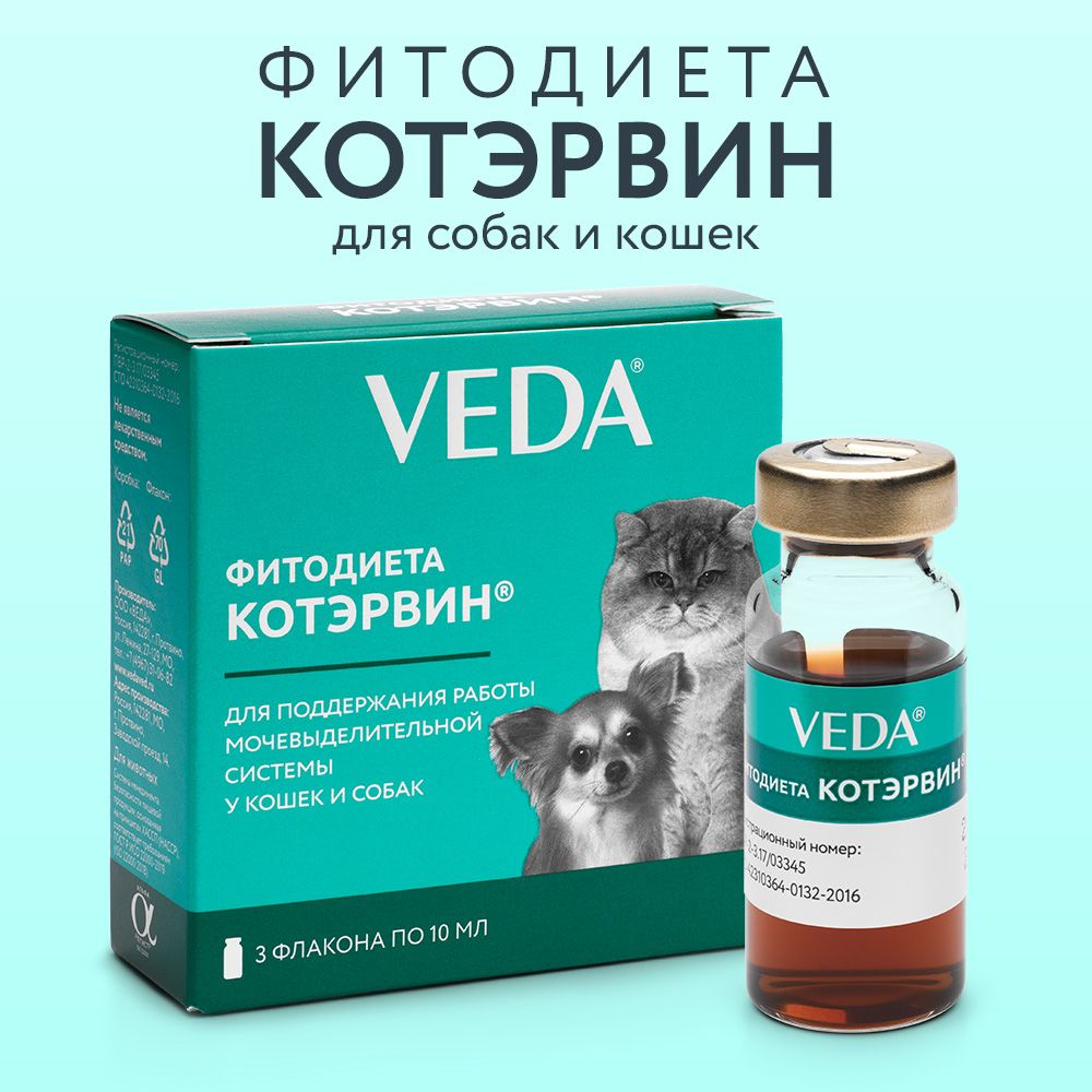 ФИТОДИЕТА КОТЭРВИН, 3 флакона по 10 мл, VEDA - купить с доставкой по  выгодным ценам в интернет-магазине OZON (466012367)