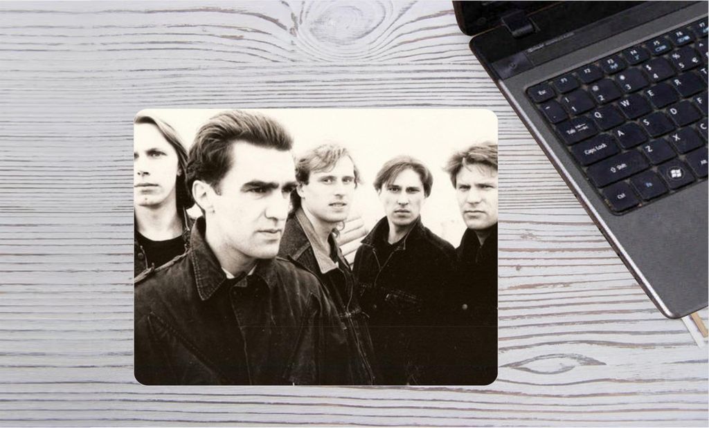 Наутилус помпилиус летучая мышь. Cephalopoda. Киркоров летучая мышь клип. Большой зайцегуб летучая мышь. Летучая мышь хищная.