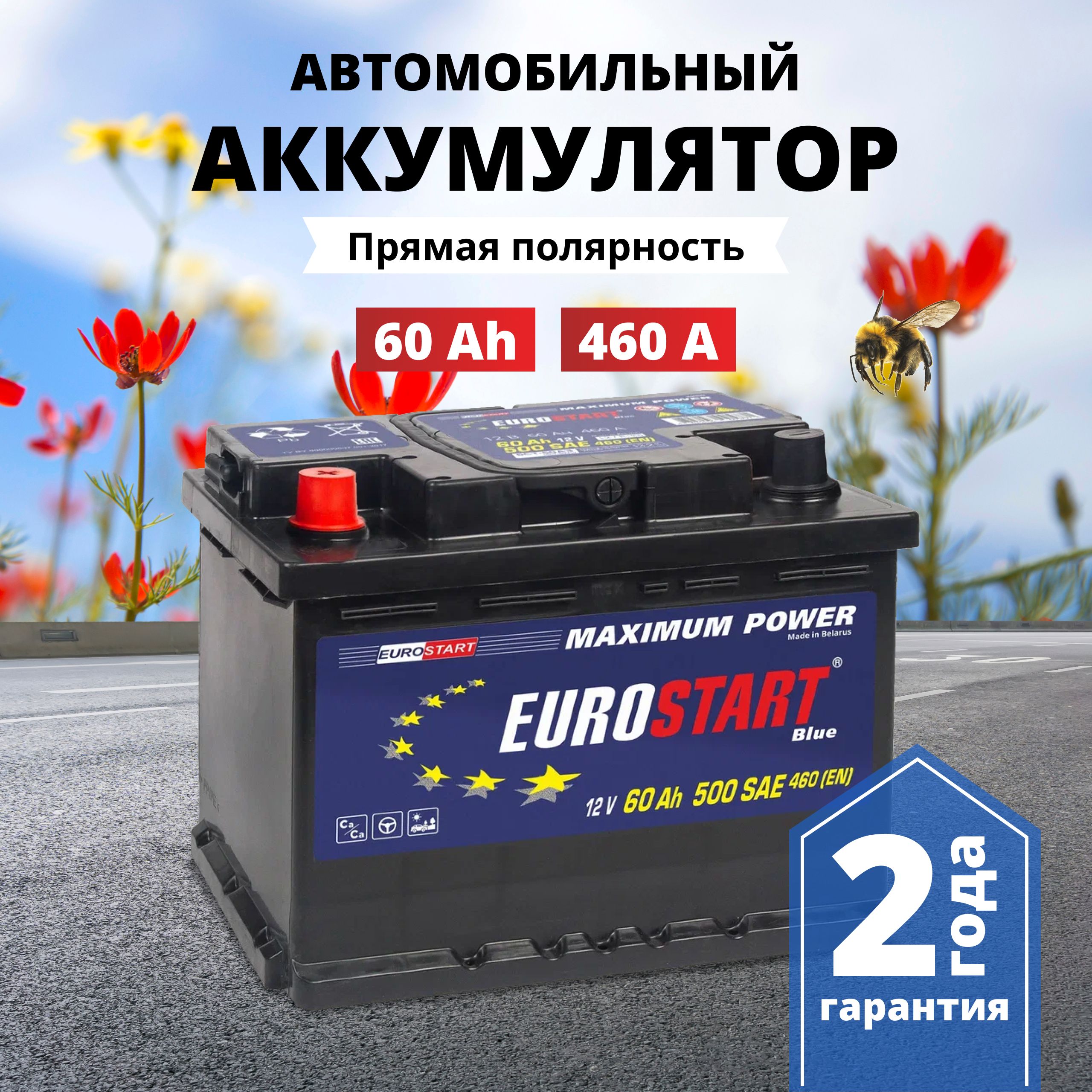 Аккумулятор автомобильный 12v 60 Ah EUROSTART Blue 60 Ач 460 А прямая  полярность 242x175x190 стартерный акб для автомобиля, машины