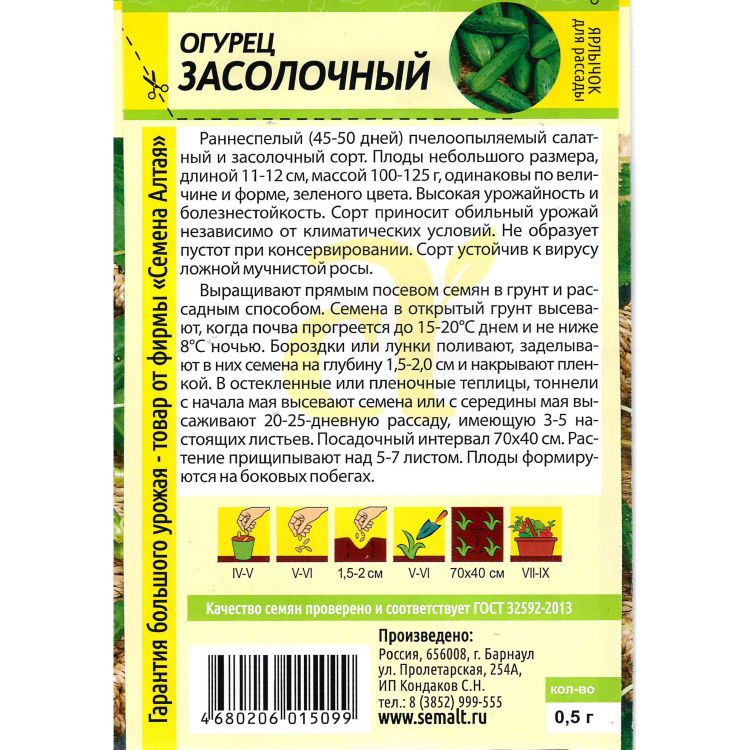 Огурец Засолочный(图2)