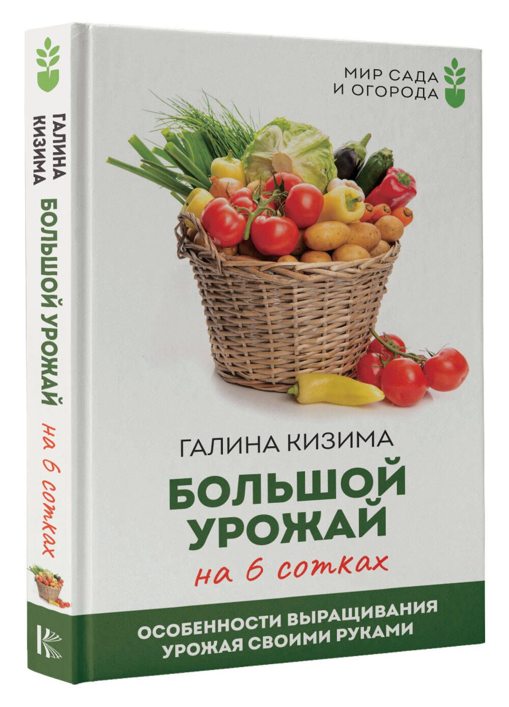 Розарий, альпийская горка и пруд — всё поместится: как украсить дачный участок на 6 сотках