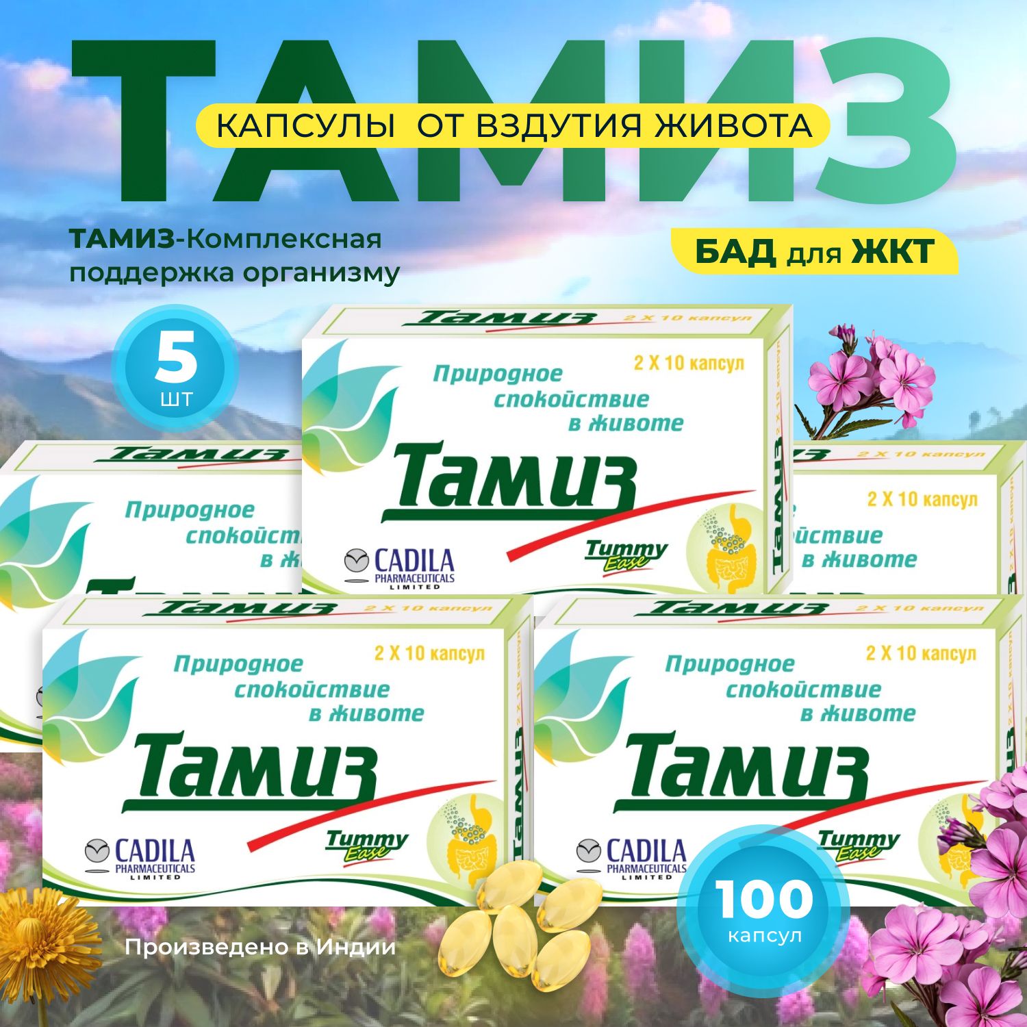 Тамиз инструкция по применению. Тамиз инструкция по применению