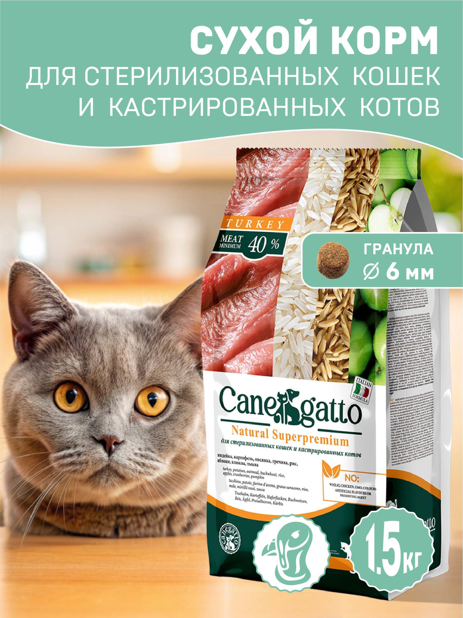 Корма для британских котов