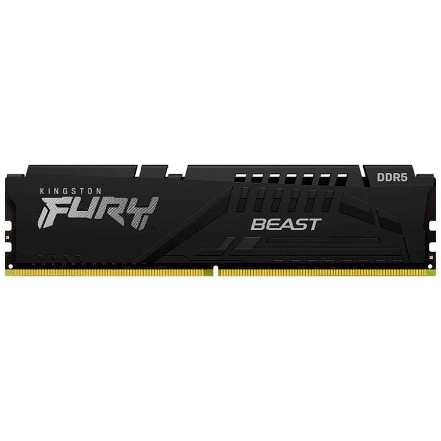 Fury beast black expo