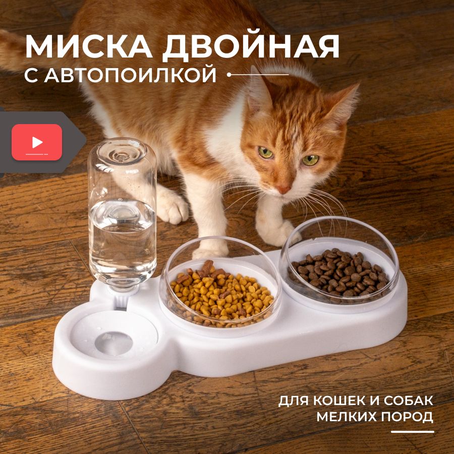 Мискидлякошекнаподставке