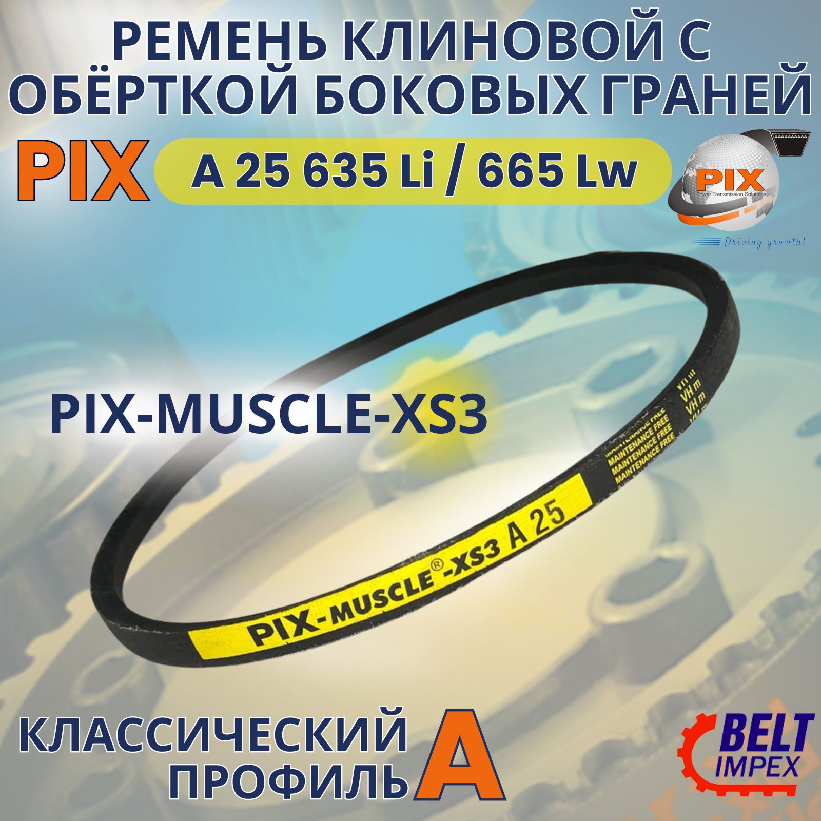 PIX-MUSCLE-XS3Ременьклиновой/A25635Li/665Lw/Классическоесечение