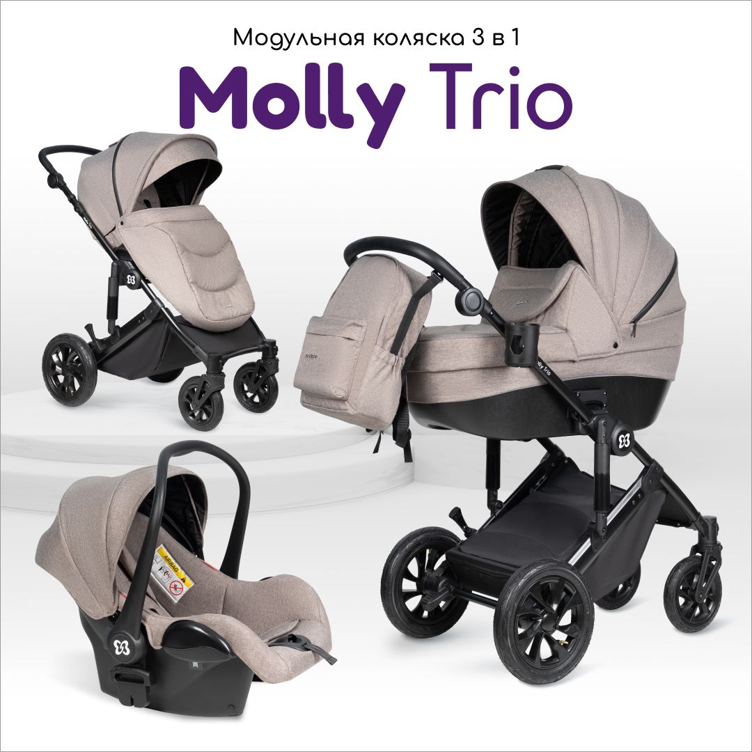 Коляска для новорожденных 3 в 1 Farfello Molly Trio, с автокреслом 0+,  прогулочная до 3-х лет