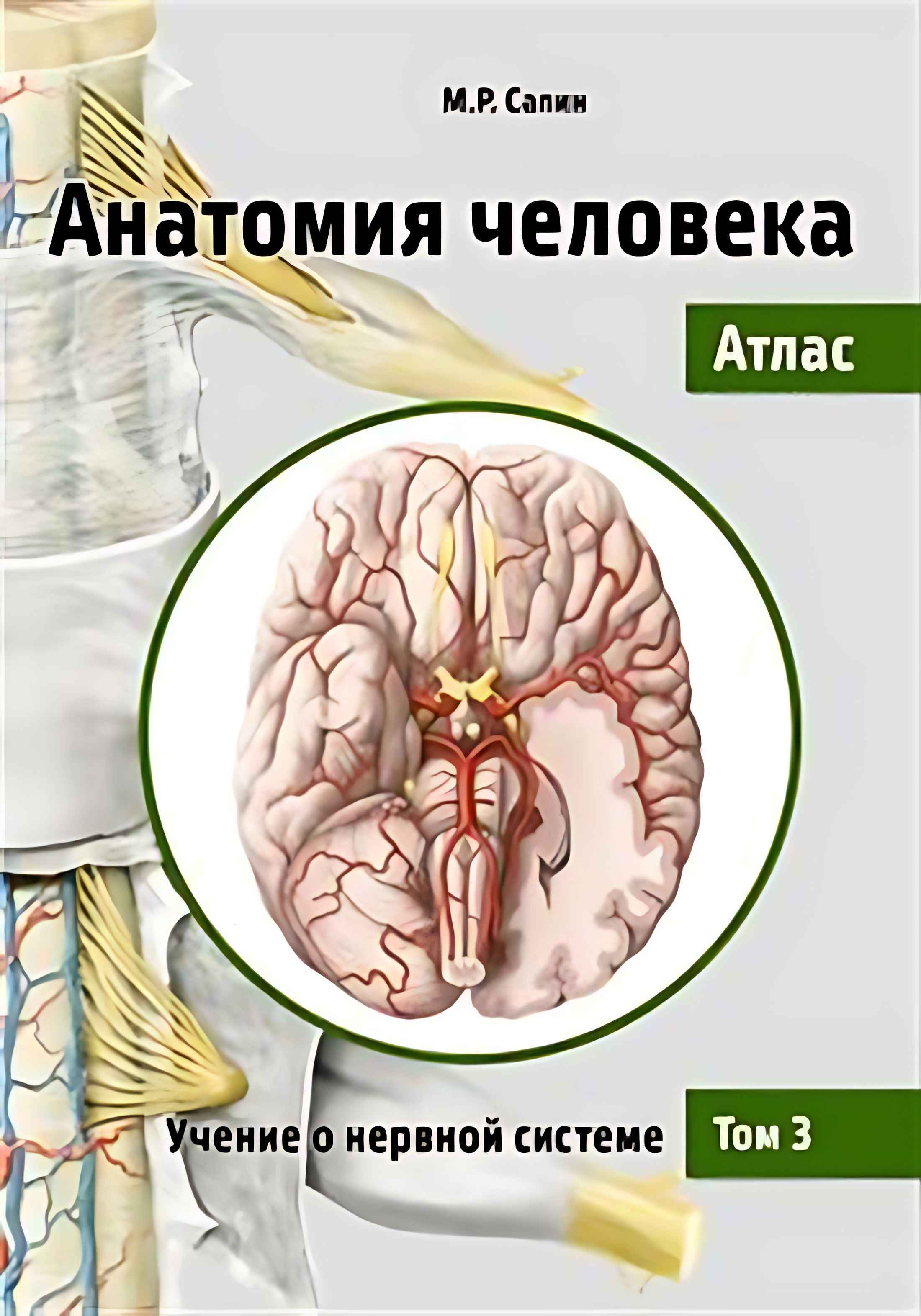 Купить Книгу Лицо Атлас Клинической Анатомии