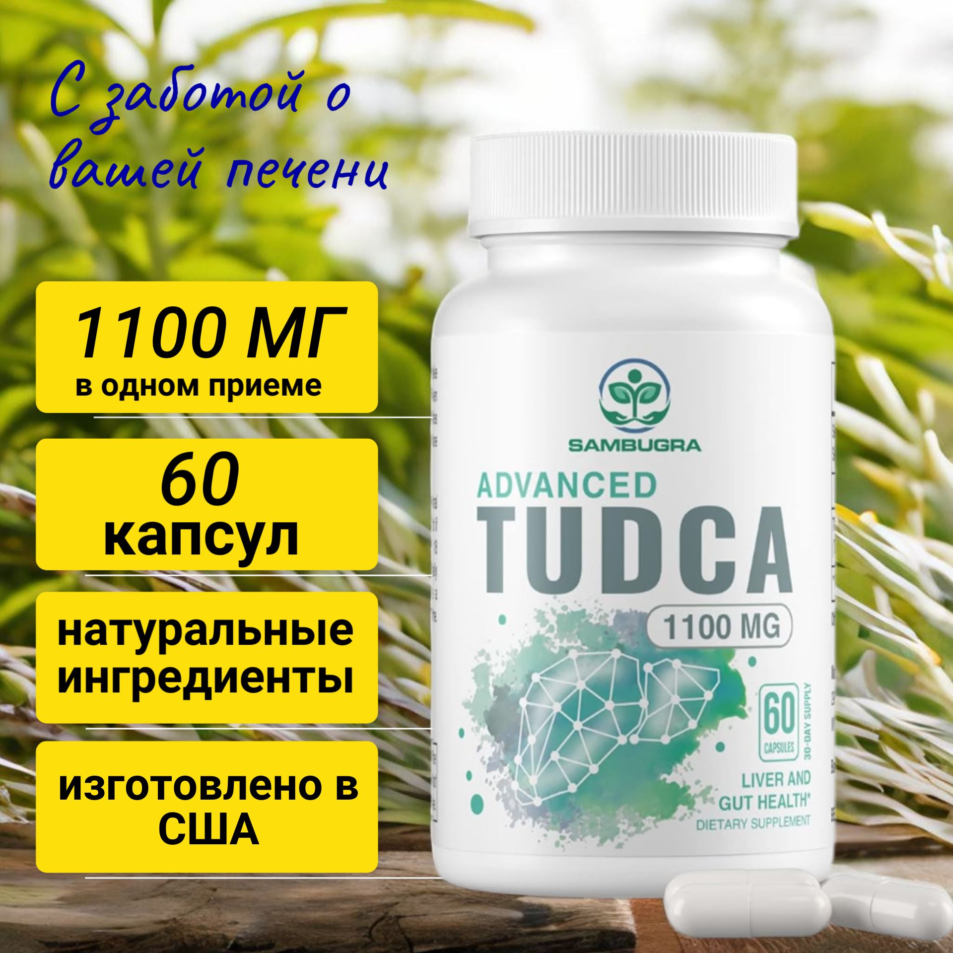 TUDCA (Тудка) для лечения печени 1100 мг капсулы 60 шт - купить с доставкой  по выгодным ценам в интернет-магазине OZON (1434230195)