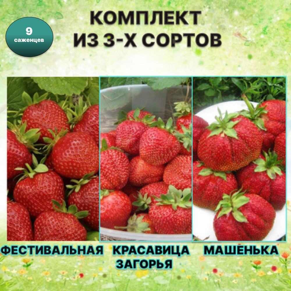 Описание и характеристики растения