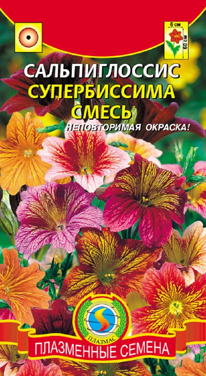 Сальпиглоссис Купить